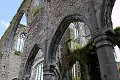 abdij abbey Abbaye D'Aulne ruin ruine ruines kerkfotografie belgie belgique belgium urbex kerk eglise church thuin aulne facade religie religion
